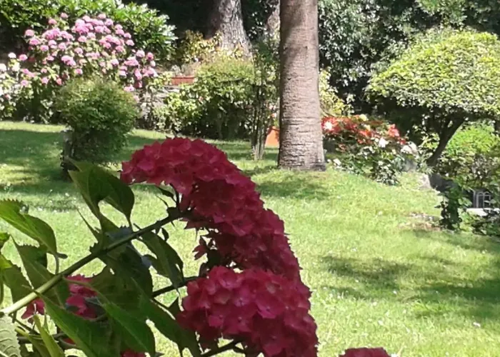 Balcone Sul Tigullio